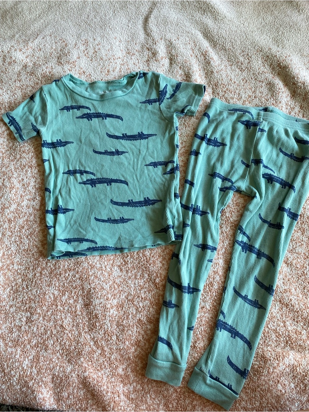 Carter’s boys / Kids Two-Piece Ribbed Alligator Print Pajama Set